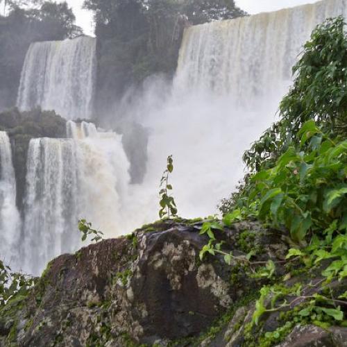 Uploaded to Wall of Wonders: Iguazu Falls